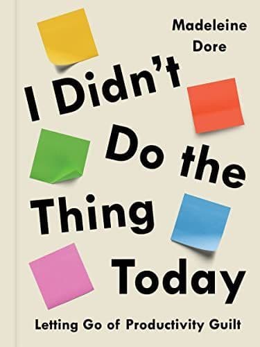 Cover of I Didn't Do The Thing Today